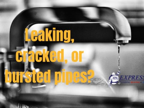 Leaking, Cracked, or Bursted Pipes?